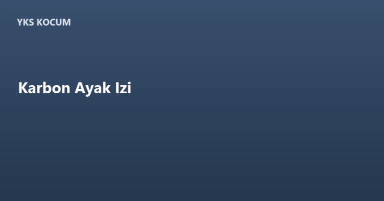 Karbon Ayak İzi Nedir? Azaltma Yolları ve Öğrenci Pratikleri
