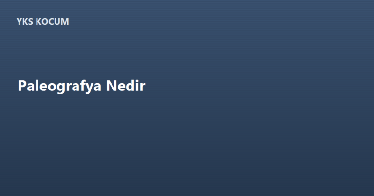 Paleografya Nedir? Ne İnceler, Neden Önemlidir?